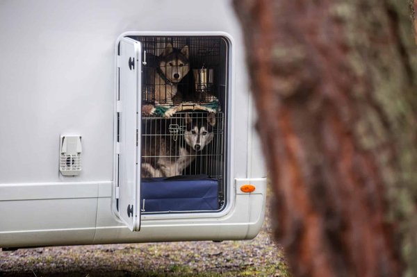 Quels sont les équipements à prévoir pour une partie de chasse ?